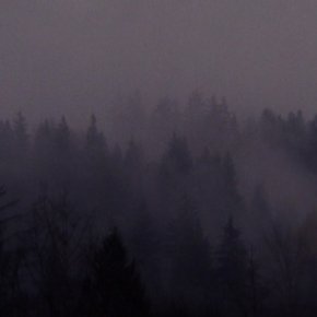 Dark Intro Bundle Added To Davidlynch.com Dark Intro Bundle Added To Davidlynch.com