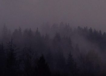 White Lodge Rumble Added To Twin Peaks Archive