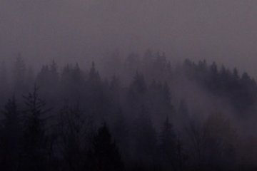 All Twin Peaks Backgrounds From DavidLynch.com