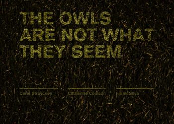 The Owls Are Not What They Seem Poster