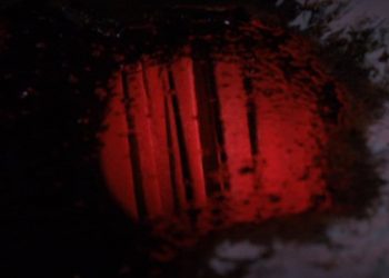 Dark Mood Woods, A Dictaphone Recording
