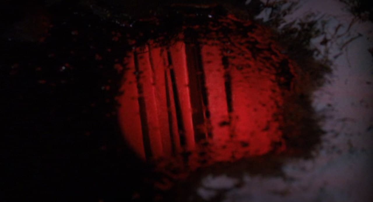 Dark Mood Woods, A Dictaphone Recording