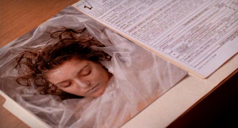 Laura Palmer murder case file