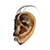 The ear from Blue Velvet