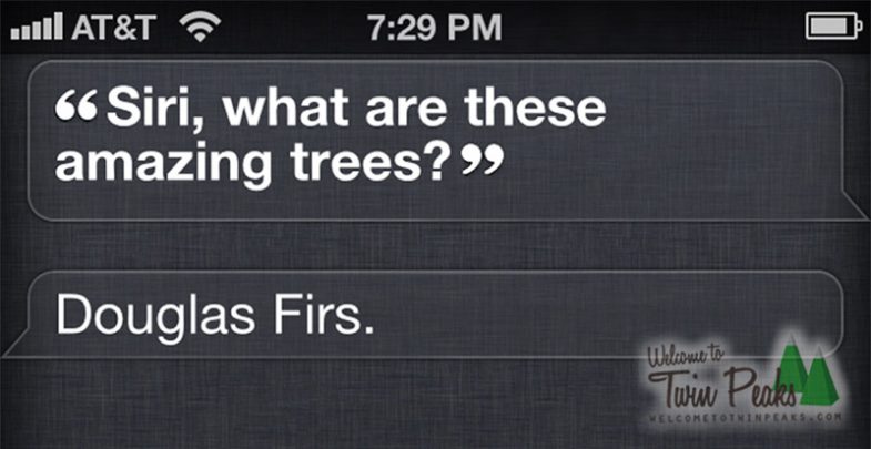 Dale Cooper asks Siri about Douglas Firs