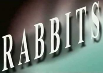 David Lynch's Rabbits