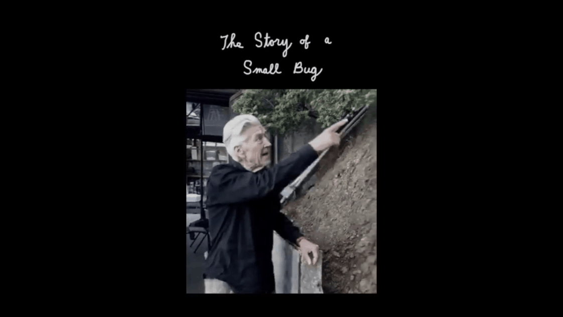 David Lynch To Start Shooting Netflix Series (Working Title: “Wisteria