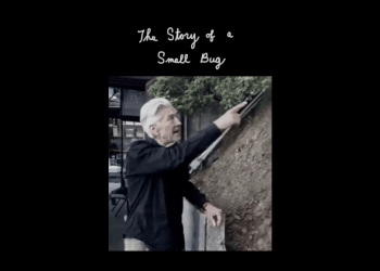 David Lynch - The Story Of A Small Bug
