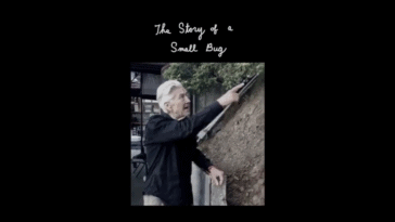 David Lynch - The Story Of A Small Bug