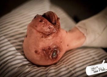 Hyperrealistic Eraserhead Baby Replica For Hardcore David Lynch Fans