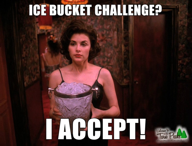 Ice Bucket Challenge by Audrey Horne