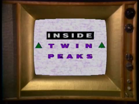 Inside Twin Peaks (1990)