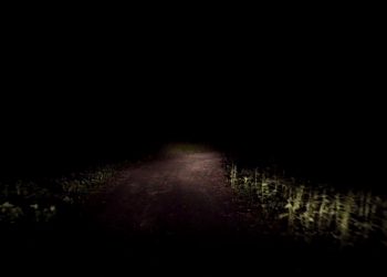 Muddy Magnolias - American Woman (David Lynch Remix)