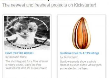 Save the pine weasel via Kickstarter