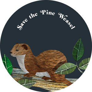 Save the pine weasel