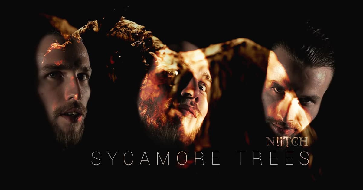 Belgian Band Covers “Sycamore Trees” 25 Years After Jimmy Scott