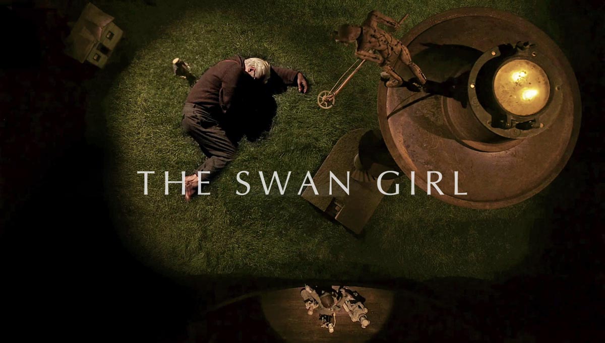 The Swan Girl by Johnny Coffeen