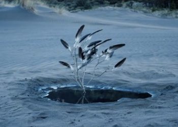 Glastonberry Grove reference in Axolotl?