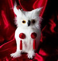 David Lynch Burlesque Owl