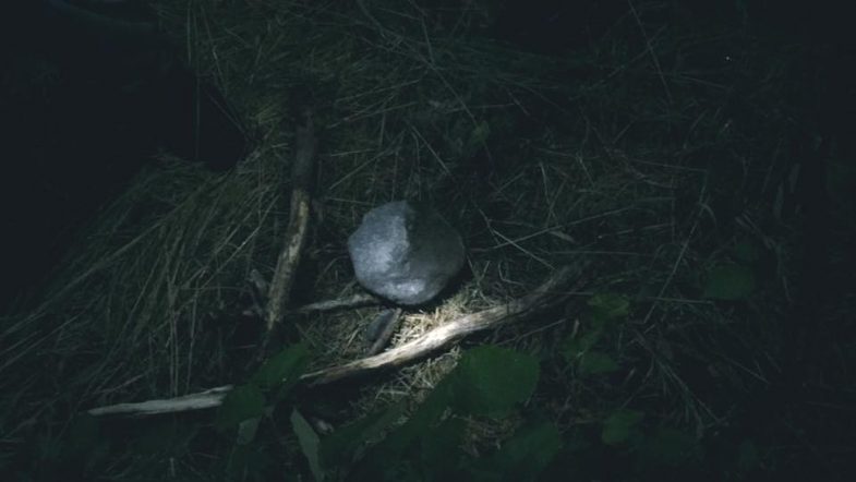 Gold heart necklace burial in Twin Peaks