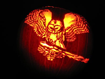 Carved pumpkin: Owl